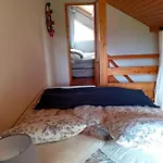 Au Des Oiseaux Migrateurs Gerardmer