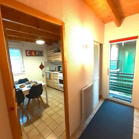 Au Des Oiseaux Migrateurs