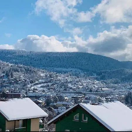 Apartamento Au Des Oiseaux Migrateurs Gérardmer