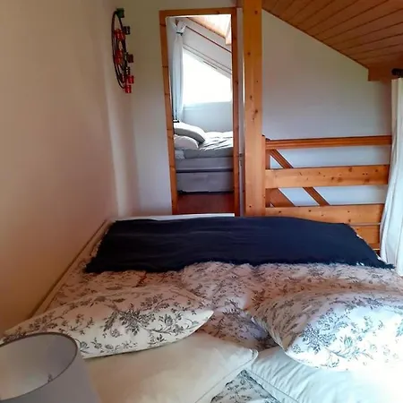 Au Des Oiseaux Migrateurs Gerardmer