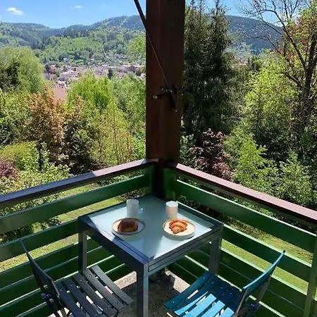 Au Des Oiseaux Migrateurs Apartment Gerardmer
