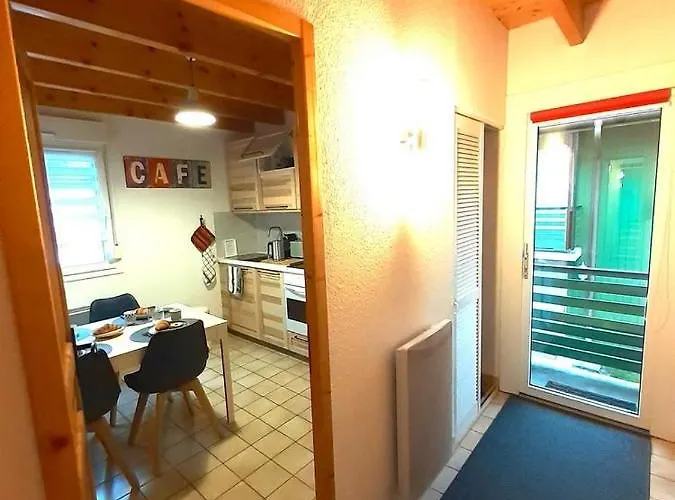 Au Des Oiseaux Migrateurs