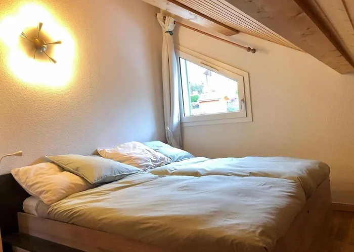 Au Des Oiseaux Migrateurs جوراردُميه