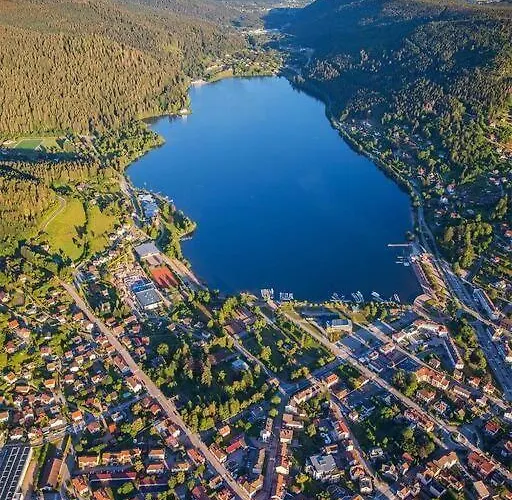 شقة Au Des Oiseaux Migrateurs جوراردُميه